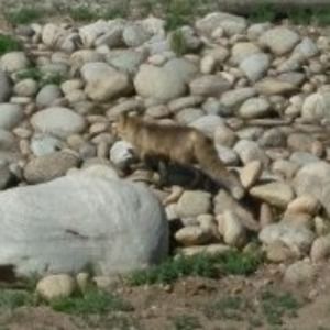 Meet your Posher, Deborah